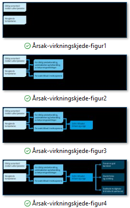Eksempel på hvordan bildefiler i en trinnvis visualisering ser ut.